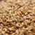 2Row Brewer's Malt, Briess or Rahr LB