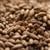 Maris Otter Malt, Muntons LB